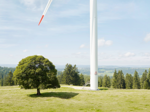 image site web - sans-titre 2