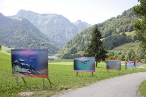 8d803ee2-f9fd-4451-82d8-96d330d11f4e